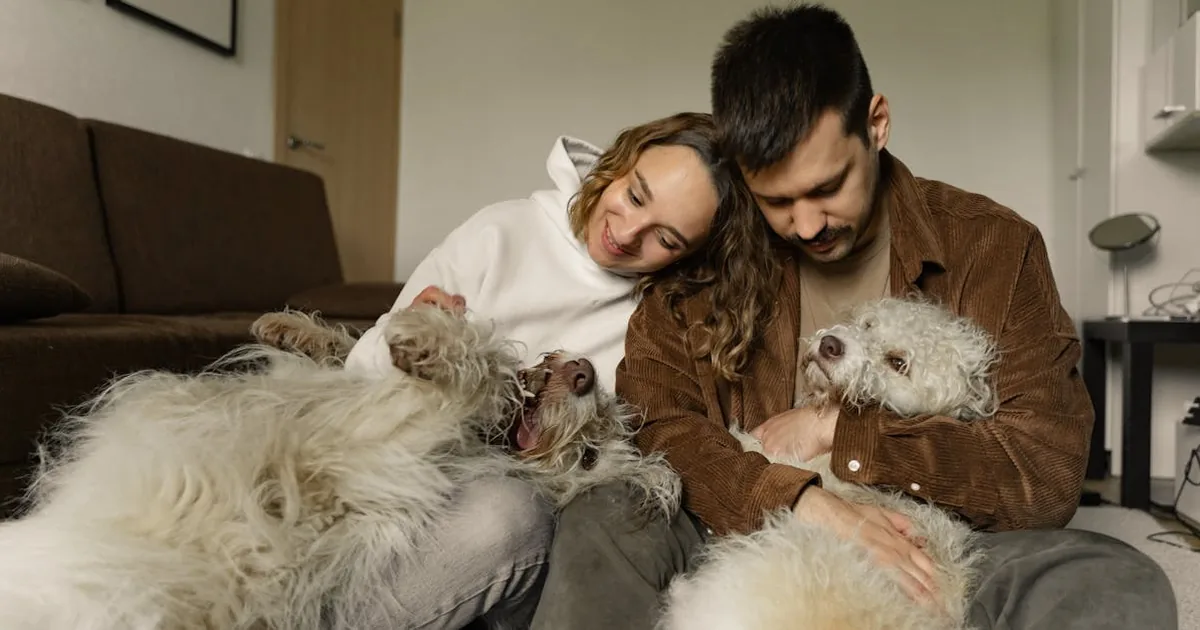 Adiestramiento de Perros: Guía Principiantes