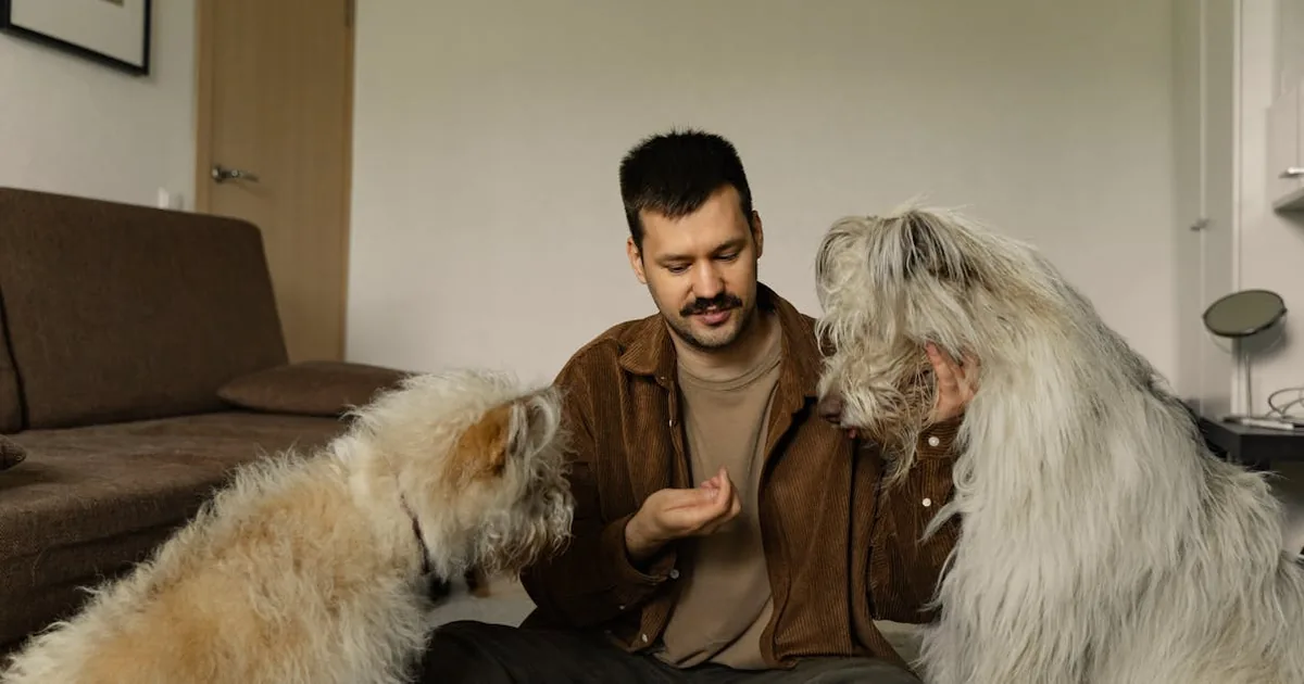 Advance Pienso Perros: análisis Completo 2026
