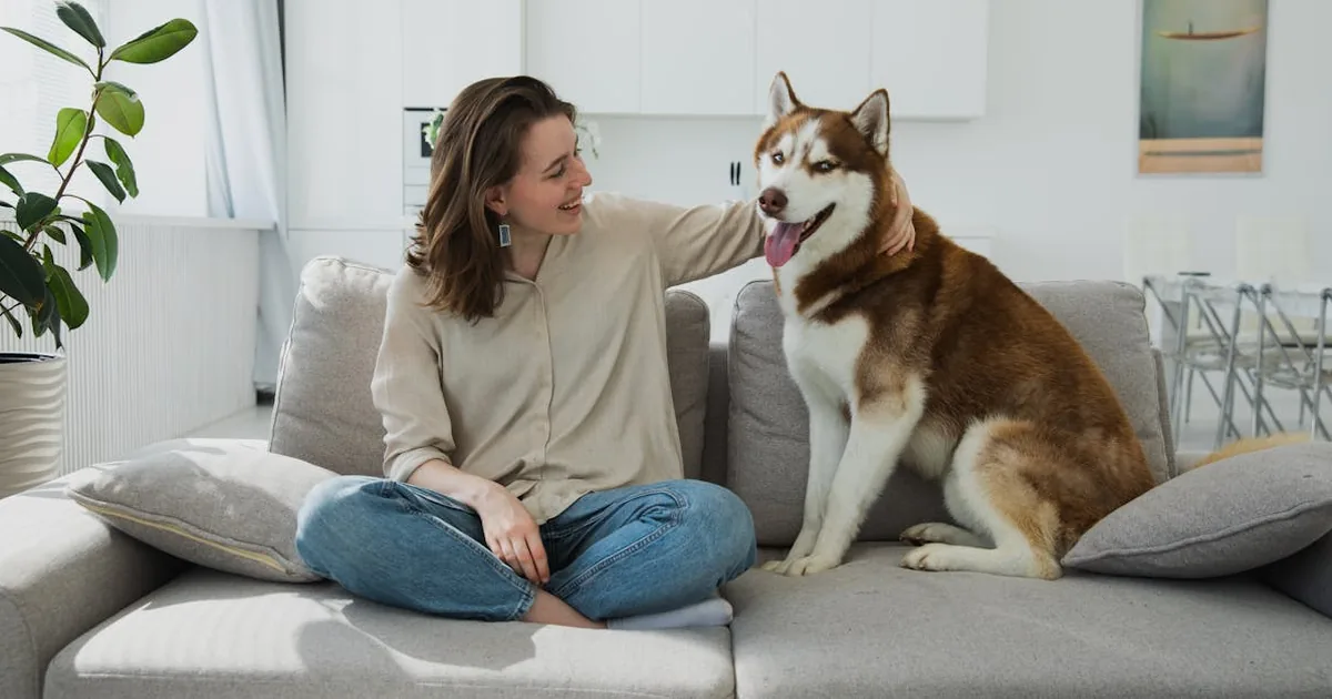 Como cortar unas perro en casa: guía completa y fácil Como cortar unas perro en casa: guía completa y fácil