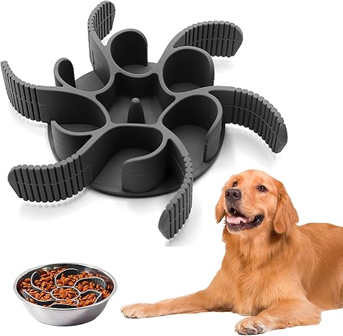 Comedero Slow Feeder - Comecan