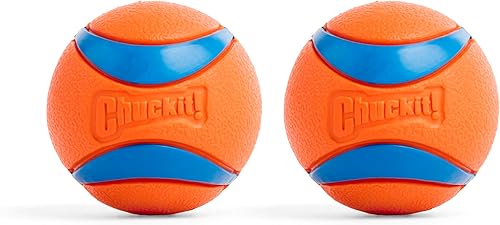 Pelota Chuckit! - Comecan