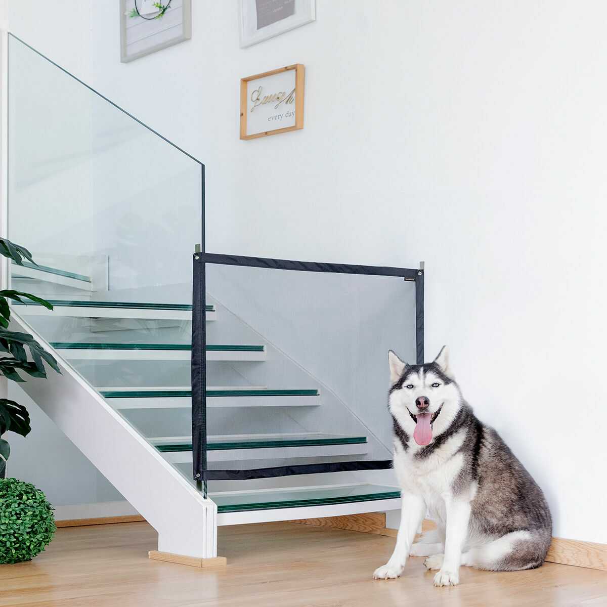 Red de seguridad para mascotas Petinu de InnovaGoods, imagen principal del producto