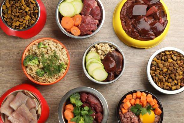 Comida balanceada para perros