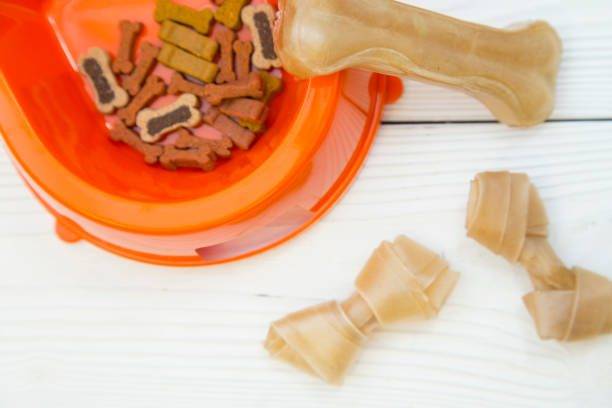 Comida natural cocinada para perros