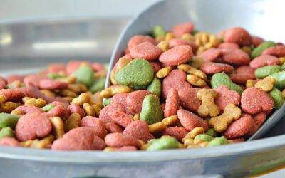¿Cual alimento para perros es el mejor?