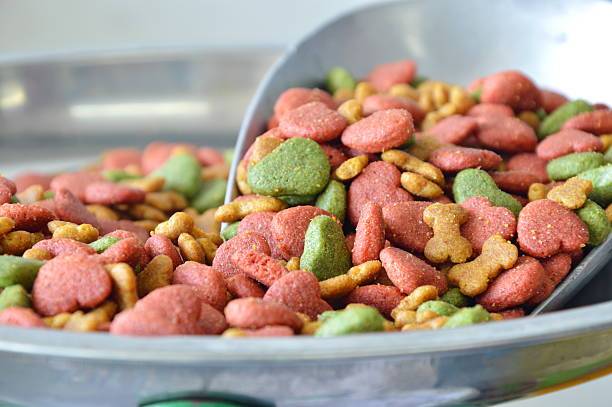¿Cual alimento para perros es el mejor?