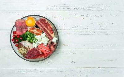 ¿Dónde comprar comida BARF para perros?