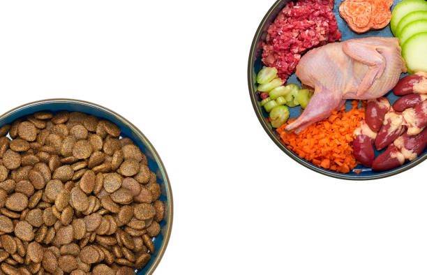 ¿Qué alimento balanceado para perros es mejor?