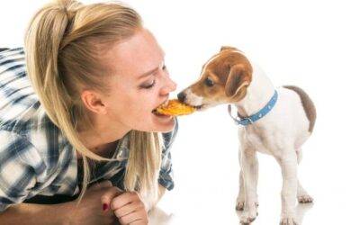 ¿Cómo hacer galletas saludables para perros?