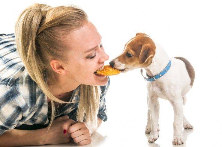 ¿Cómo hacer galletas saludables para perros?