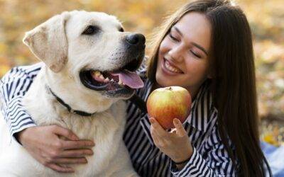 ¿Pueden los perros comer frutas y verduras? ¡Te sorprenderá la respuesta!