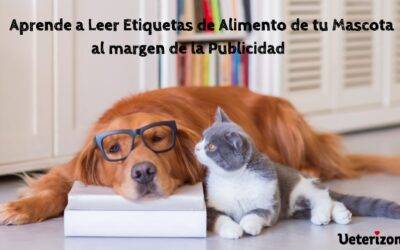 Cómo elegir y leer etiquetas de alimentos para perros