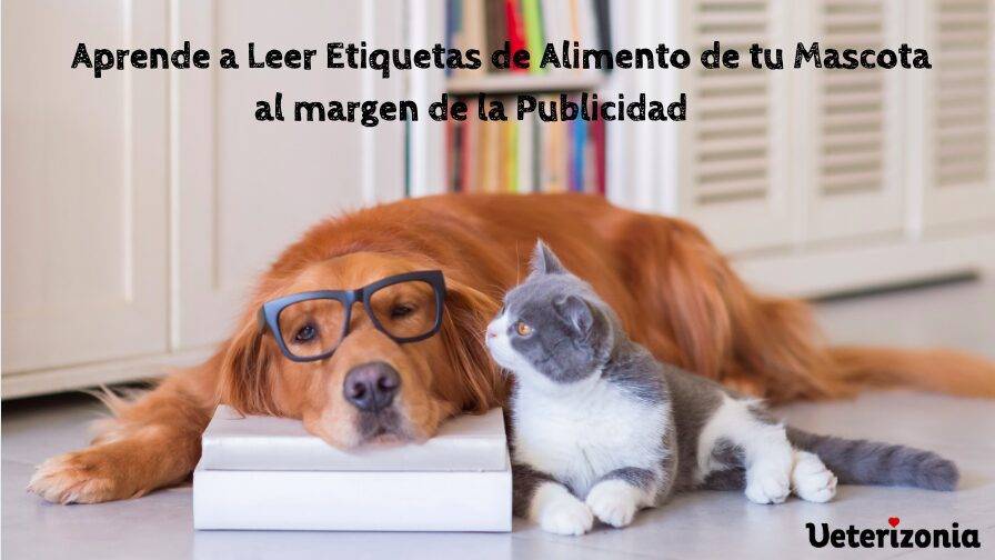 Cómo elegir y leer etiquetas de alimentos para perros