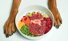 Alimentación adecuada para perros