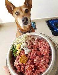 Alimentación natural para perros