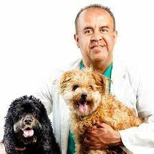 Expertos en nutrición canina