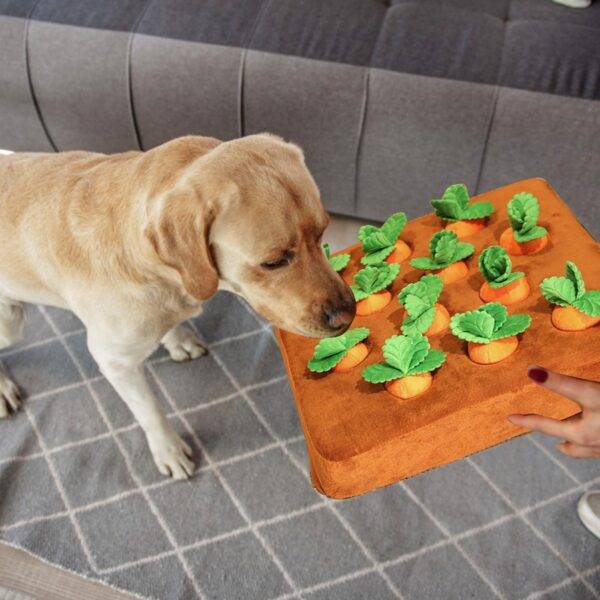 Alfombra olfartiva para perro - Imagen 4