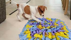 Alfombra olfativa para perro