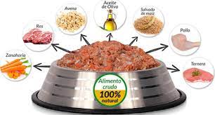Alimentación balanceada para perros